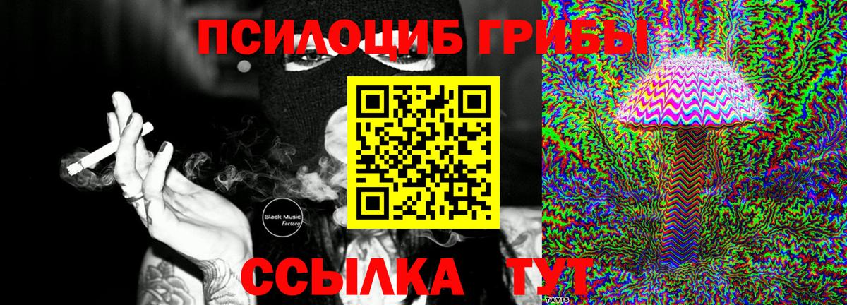 Псилоцибиновые грибы мицелий  Вход с VPN  где купить   Щёлково 